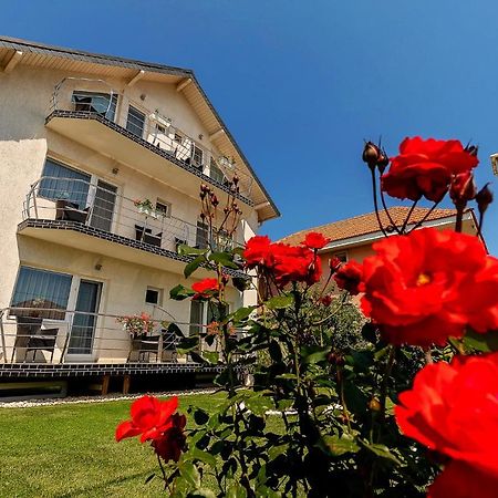 Vila Mosel ドウア・マ エクステリア 写真